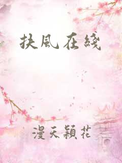 扶风在线