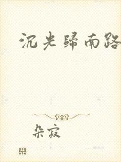 沉光归南路