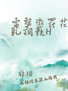 电击惩罚花蒂榨乳调教H