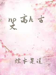 np 高h 古文