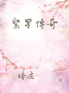 紫星传奇