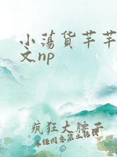 小荡货芊芊小辣文np