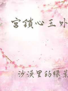 宫锁心玉外传