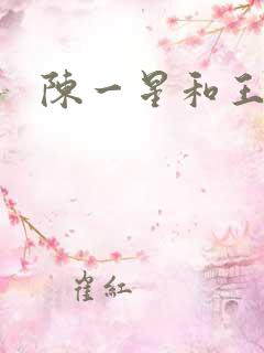 陈一星和王远