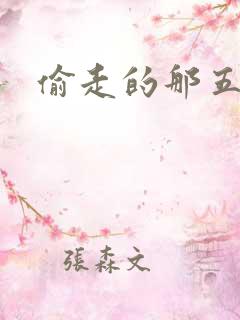 偷走的那五年