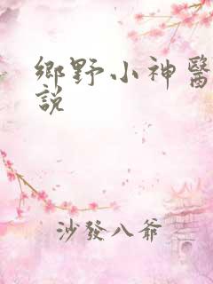 乡野小神医 小说