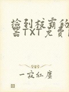 捡到校霸的遥控器TXT免费阅读