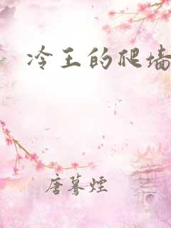 冷王的爬墙丑妃