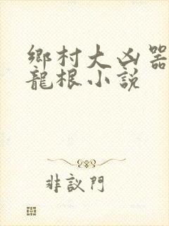 乡村大凶器傻子龙根小说