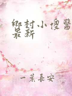 乡村小傻医小说最新