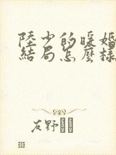 陆少的暖婚新妻结局怎么样