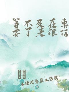 等不及在车里就要了老狼信息