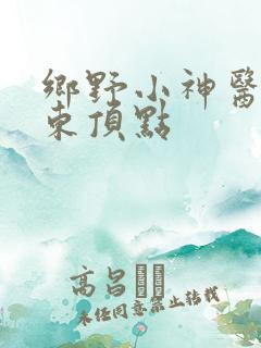 乡野小神医张振东顶点