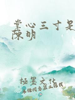掌心三寸是人间陈明