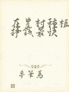 在农村种植什么挣钱最快