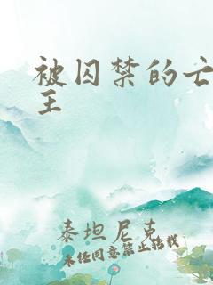 被囚禁的亡国公主