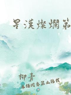 星汉灿烂第二部