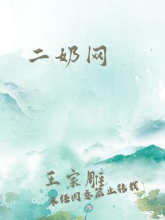 二奶网
