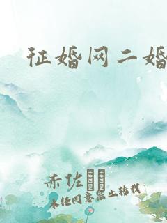 征婚网二婚