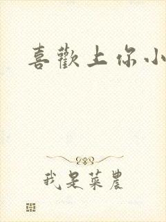 喜欢上你小说