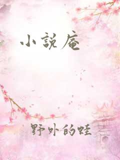 小说庵