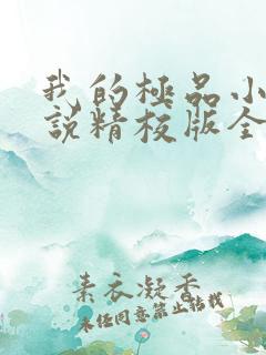 我的极品小姨小说精校版全集