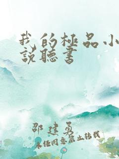 我的极品小姨小说听书