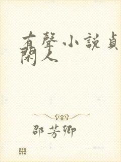 有声小说贞观大闲人