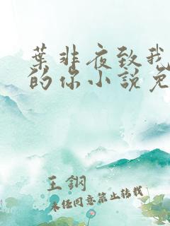 叶非夜致我最爱的你小说免费阅读