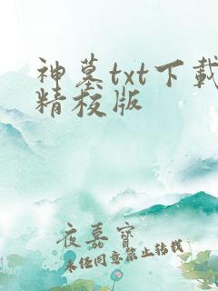 神墓txt下载精校版