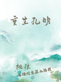 重生孔明
