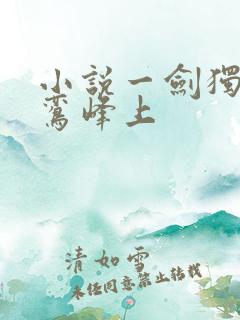 小说一剑独尊青鸾峰上