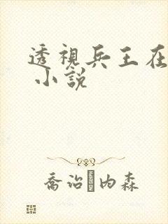 透视兵王在山村 小说