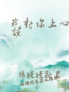 我对你上心了小说