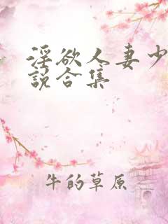 淫欲人妻少妇小说合集