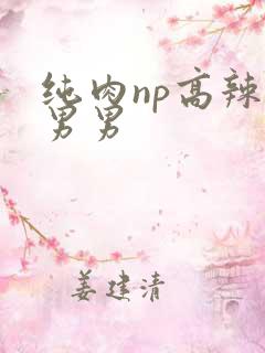 纯肉np高辣文男男