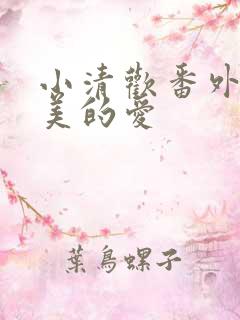 小清欢番外篇完美的爱