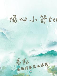 伤心小箭txt