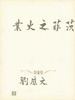 业火之菲茨