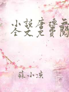 小说唐砖无弹窗全文免费阅读