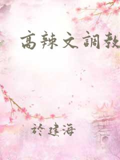 高辣文调教np