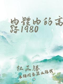 肉体内的高速公路1980