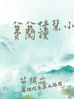公公佳慧小说免费阅读
