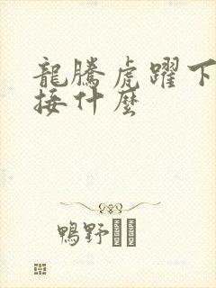 龙腾虎跃下一句接什么