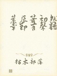 叶辰萧初然最新章节有声听书