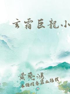 玄霜巨龙小说