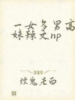 一女多男高h兄妹辣文np