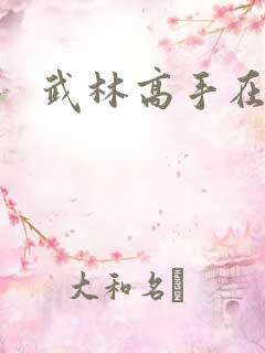 武林高手在官场