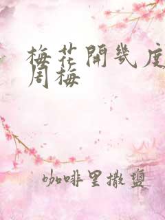 梅花开几度老张周梅