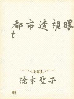 都市透视眼txt